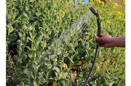 Dușă portabilă de călătorie - camping