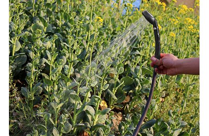 Dușă portabilă de călătorie - camping