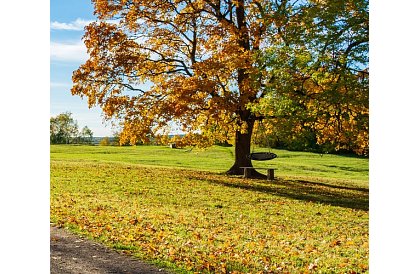 Leagăne - cuib de berze negru - 100 cm / 150 kg