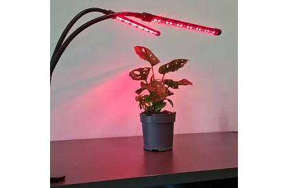Lampa LED pentru creșterea plantelor DUO – cu temporizator și control