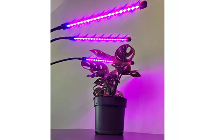 Lampa LED pentru creșterea plantelor TRIO – cu temporizator și control