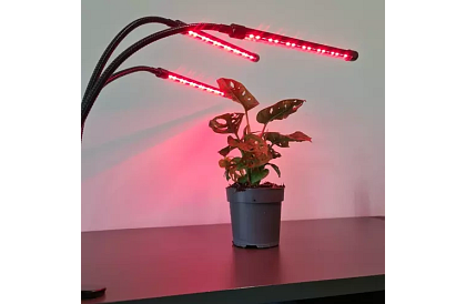 Lampa LED pentru creșterea plantelor TRIO – cu temporizator și control