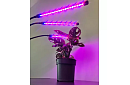 Lampa LED pentru creșterea plantelor TRIO – cu temporizator și control