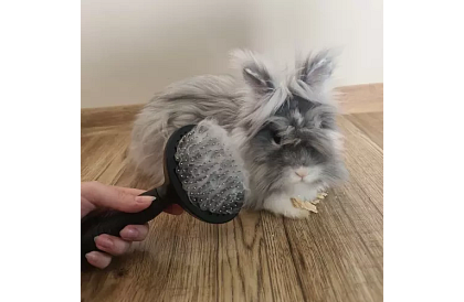 Perie auto-curățare pentru blană