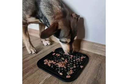 Saltea antistres pentru câini