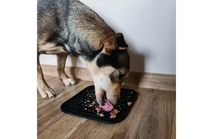 Saltea antistres pentru câini