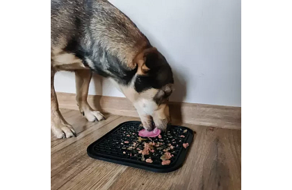 Saltea antistres pentru câini