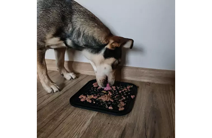 Saltea antistres pentru câini