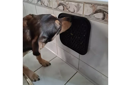 Saltea antistres pentru câini