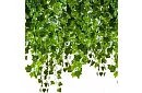 Ivy artificial – garland 25.2 m