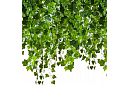 Ivy artificial – garland 25.2 m