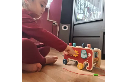 Ciocan din lemn - Elefant