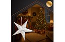 3D LED stea strălucitoare - 50 cm
