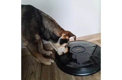 Distribuitor automat de hrană cu temporizator