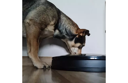 Distribuitor automat de hrană cu temporizator