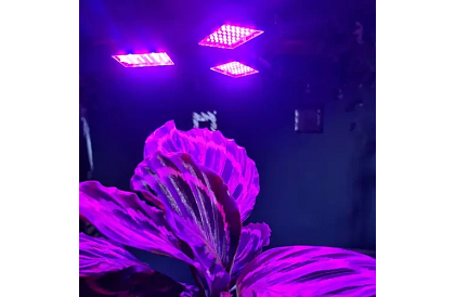 Lampa pentru susținerea creșterii plantelor 108 LED
