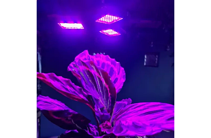 Lampa pentru susținerea creșterii plantelor 108 LED