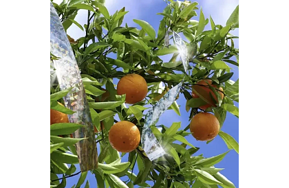 Bandă holografică pentru sperierea păsărilor - 80 metri