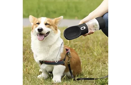 Sticlă de apă pentru câini cu bol pentru recompense