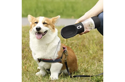 Sticlă de apă pentru câini cu bol pentru recompense