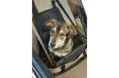 Geanta de transport pentru animalul dumneavoastră pe scaunul mașinii