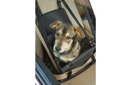 Geanta de transport pentru animalul dumneavoastră pe scaunul mașinii