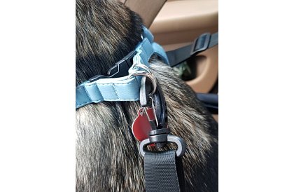 Geanta de transport pentru animalul dumneavoastră pe scaunul mașinii