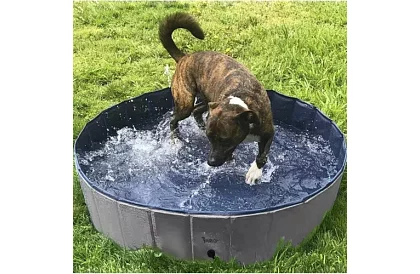 Piscină pliabilă pentru câine - 100 x 30 cm