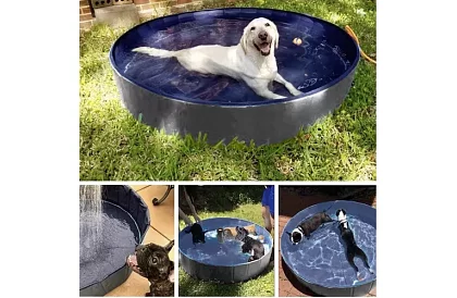 Piscină pliabilă pentru câine - 100 x 30 cm
