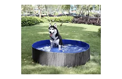 Piscină pliabilă pentru câine - 100 x 30 cm