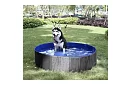 Piscină pliabilă pentru câine - 100 x 30 cm