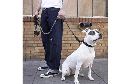 Curea de antrenament puternică pentru câini mari - 5 m