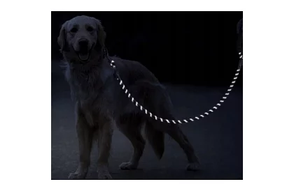 Curea de antrenament puternică pentru câini mari - 5 m