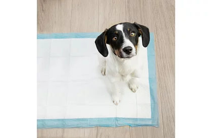 Saltele higienice absorbante 100 buc – 60x40 cm + pungi pentru excremente