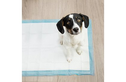 Saltele higienice absorbante 100 buc – 60x40 cm + pungi pentru excremente