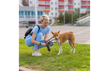 Saltele higienice absorbante 100 buc – 60x40 cm + pungi pentru excremente