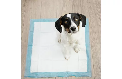 Saltele igienice absorbante 100 buc – 60x60 cm + pungi pentru excremente