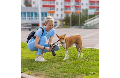 Saltele igienice absorbante 100 buc – 60x60 cm + pungi pentru excremente