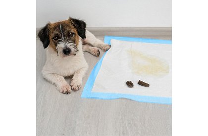 Saltele igienice absorbante 100 buc – 60x60 cm + pungi pentru excremente