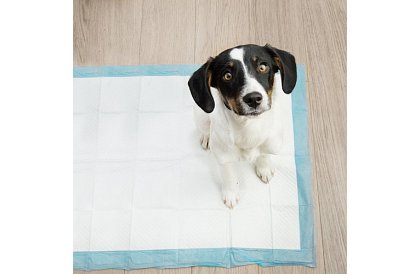 Saltele higienice absorbante 100 buc – 60x90 cm + pungi pentru excremente