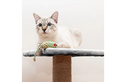 Griă de zgâriat pentru pisici - 71 x 44 x 34 cm