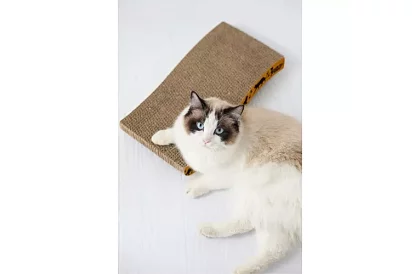 Mobil scratcher pentru pisică – 22,5 x 43 cm