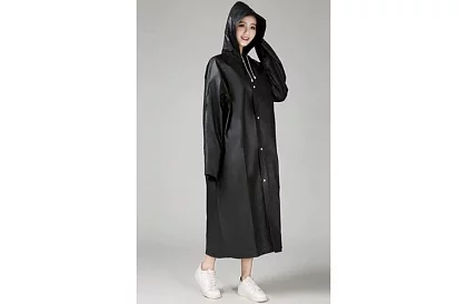 Pardosea neagră oversized puternică