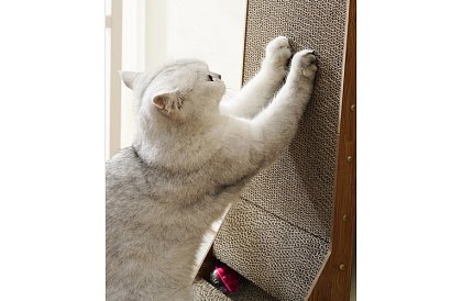 Stâlp de zgâriere pentru pisici cu jucărie - DUO