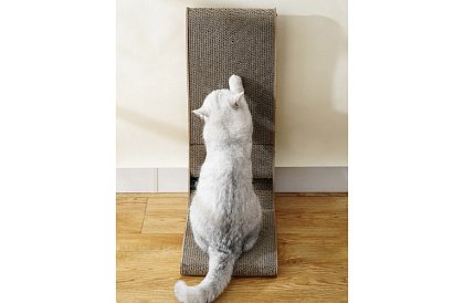 Stâlp de zgâriere pentru pisici cu jucărie - DUO