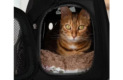 Cutie - geantă de călătorie pentru animale - neagră