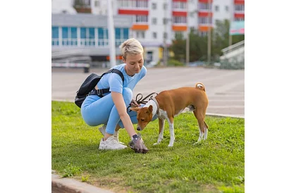 Set de saci pentru excremente – 1000 buc + husă