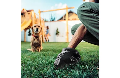 Set de saci pentru excremente – 1000 buc + husă