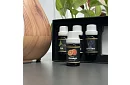 Set de uleiuri esențiale – 6 bucăți a câte 10 ml