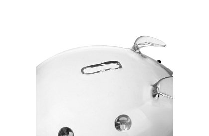 Răcnet – porcul de sticlă